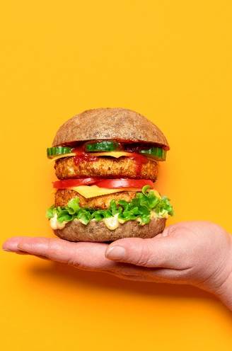 Is vegetarisch of veganistisch eten echt zo gezond als wordt beweerd? Professor bespreekt 7 feiten en fabels over vlees- en zuivelvervangers