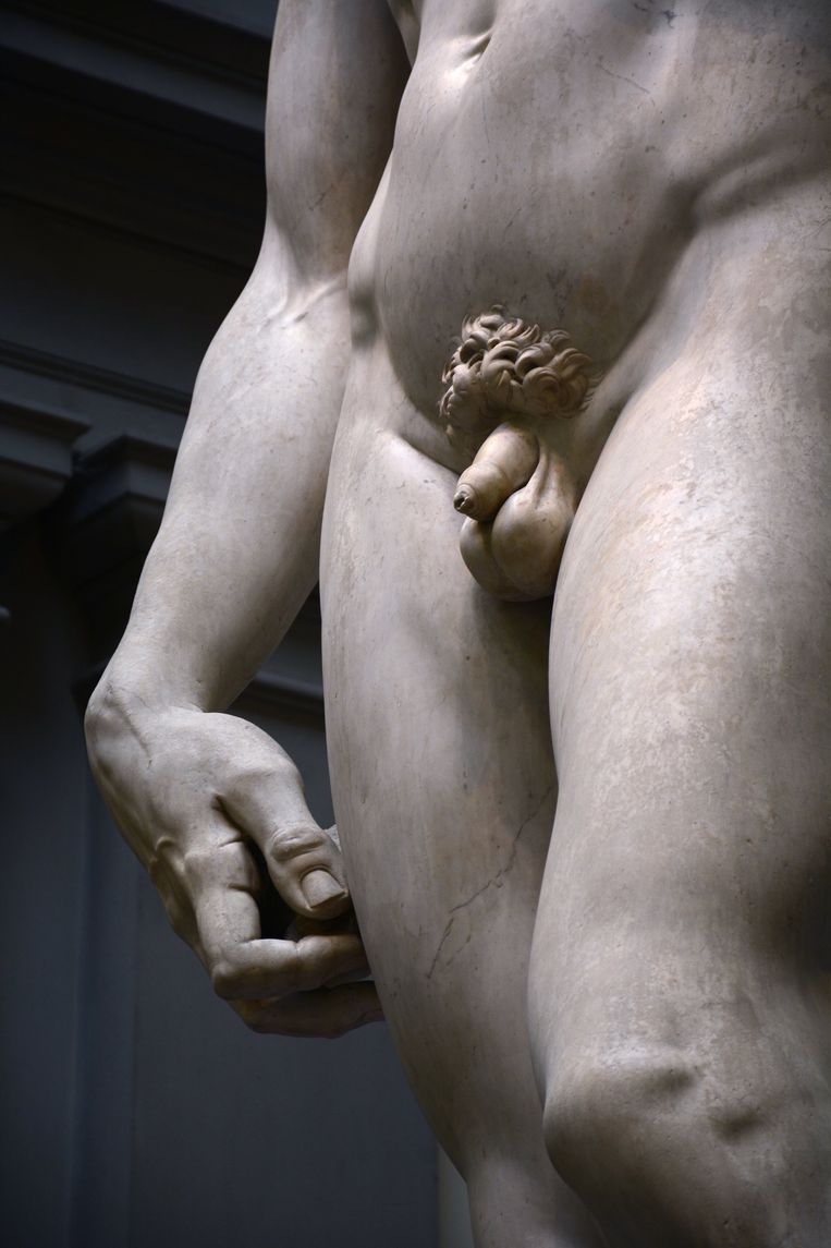 Het onbesneden geslacht van Michelangelo’s David Beeld Getty Images