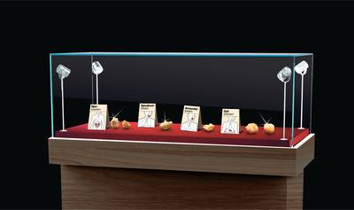 Stenen in je lichaam: wat te doen tegen welke steen?