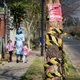 Hoe een minuscule kever miljoenen bomen bedreigt in Johannesburg