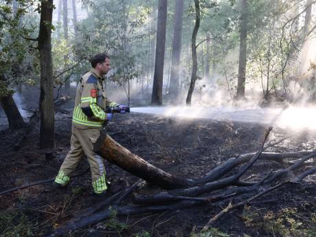 Brandweer rukt drie dagen op rij uit voor verdachte bosbranden in Oisterwijk: ‘Funest voor jonge dieren’ 