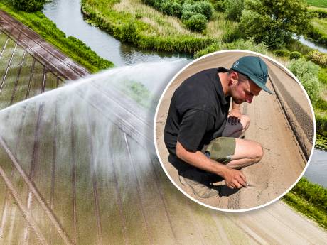 Langste droge periode ooit komt in zicht: is daar wel tegenop te sproeien? ‘Dit is echt ongekend’