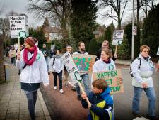 Vanuit het niets zó in het Amersfoortse stadsbestuur: het politieke wonder van Partij voor de Dieren