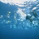 Nieuwe plastic soep ontdekt tussen Groenland en Nova Zembla