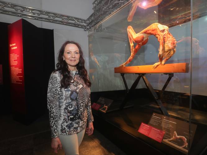 Nieuwe lichamen voor tijdelijke expo Body Worlds in Oud Sint-Jan: “We verwachten 100.000 bezoekers”