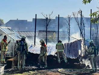 Tuinhuis uitgebrand op wijk Klappershoek in Boezinge