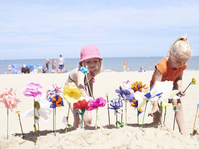 Wie tovert mooiste papieren strandbloem in elkaar? Knokke-Heist eert aloude kusttraditie met eigen festival