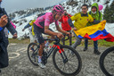 Egan Bernal.