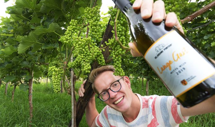 Sander Kroeze maakt wijn langs de Lek