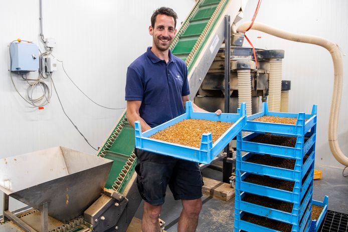 Boer Rowin Batterink uit Nijkerk kweekt meelwormen. De kweek van insecten als eiwitvervangers wordt sterk gestimuleerd in de Gelderse Vallei.
