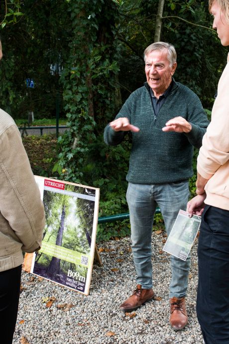 Beroemde boom in Amelisweerd naast A27 grijpt naast Europese titel, maar in Utrecht geven ze niet op 