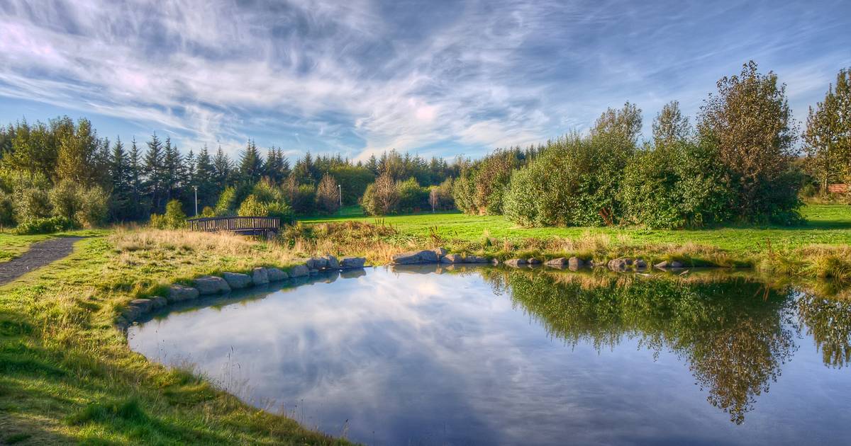 Drie jonge Amerikaanse zusjes dood teruggevonden in vijver van buren - BD.nl