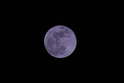 Nederland in zevende hemel met blauwe supermaan