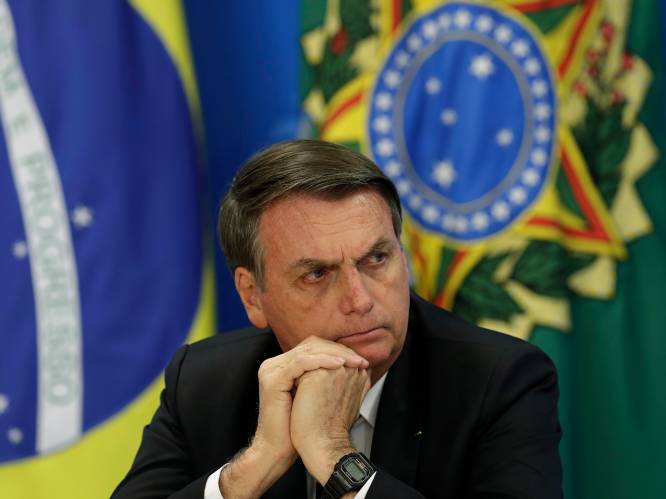 Braziliaanse president ontslaat hoofd onderzoeksinstituut om cijfers ontbossing Amazone