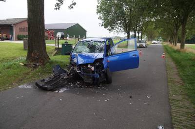 Zwaargewonde automobilist strompelt na frontale botsing tegen boom naar boerderij voor hulp