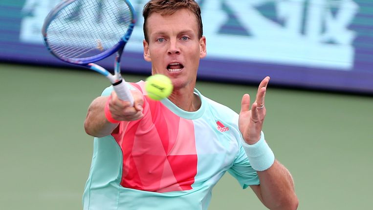 Tomas Berdych Beeld Getty Images