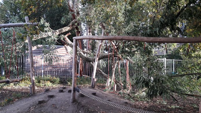 Twee forse boomtakken liggen bovenop het nieuwe groene speelplein van kbs Sinte Maerte. De bovenste balk van een klimtoestel is doormidden gebroken doordat er een tien meter lange tak op was gevallen. Het groene speelplein van de school in Princenhage was in mei dit jaar aangelegd.