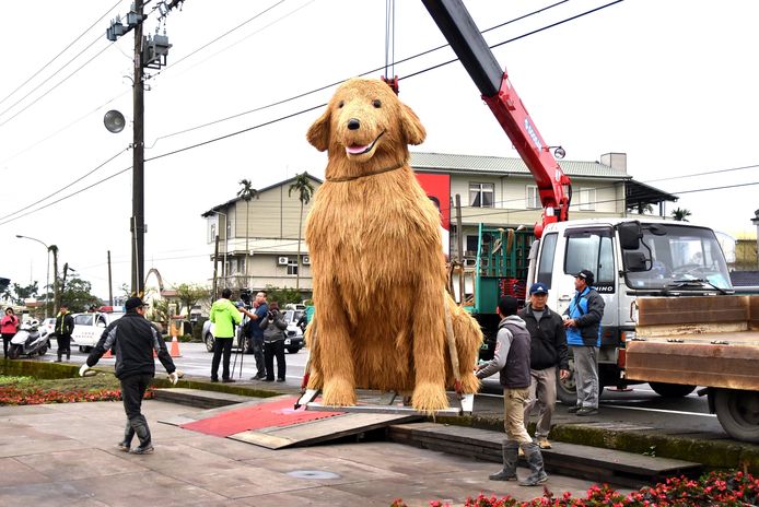 In het Taiwanese dorp Sanhsing wordt een hond van stro geplaatst. De hond, die ook nog drie puppy's naast zich zal krijgen, wordt geplaatst vanwege het 'jaar van de hond'.