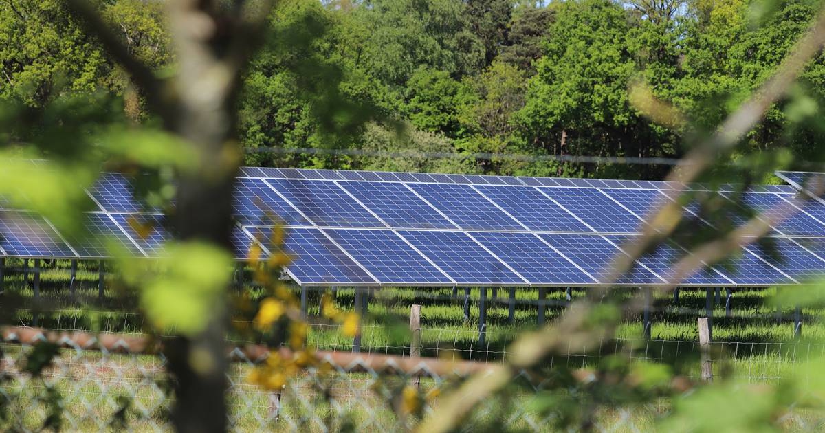 Haaksbergen zet in op zonneenergie met 50 hectare zonnevelden in landelijk gebied Haaksbergen