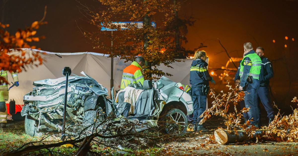 Auto klapt op boom bij Den Dolder, brandweer weet bekneld slachtoffer pas na een uur te bevrijden - 
