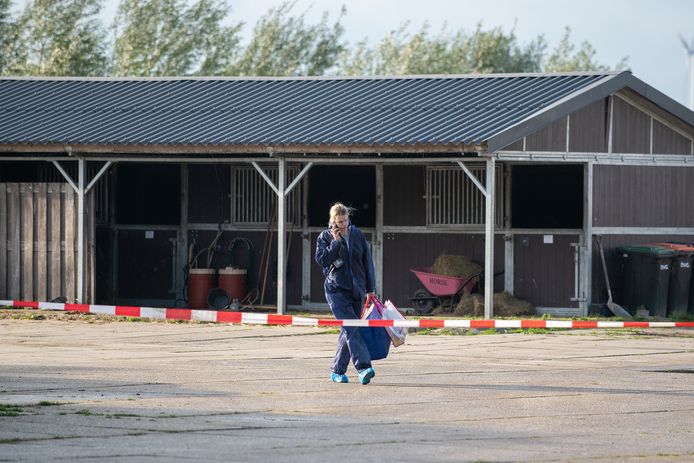 Een besmettelijke vogelgriepvirusvariant werd bij een bedrijf in Zeewolde gevonden toen er nog geen ophokplicht gold.