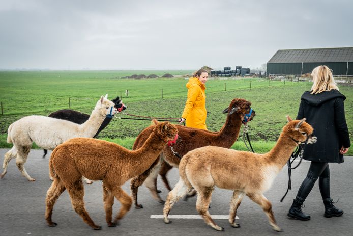 Wandelen Cliparts » Animaatjes.nl