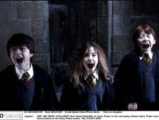 Le premier film de la saga Harry Potter en ciné-concert au Sportpaleis