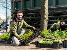‘Geitenwollen sok’ Bram wilde werken én iets doen voor de planeet: ‘Dat is helemaal uit de hand gelopen’