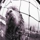 Pearl Jam - Vs. - Vitalogy - Live at Orpheum Theatre