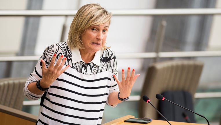 onderwijs decreet m onvoldoende