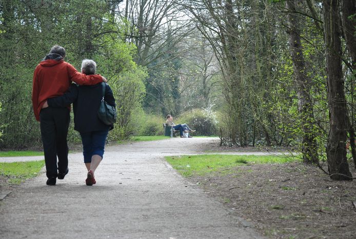 De gemeente Zelzate gaat onderzoeken of het verlichting kan plaatsen in het gemeentepark op de oude kanaalbedding.