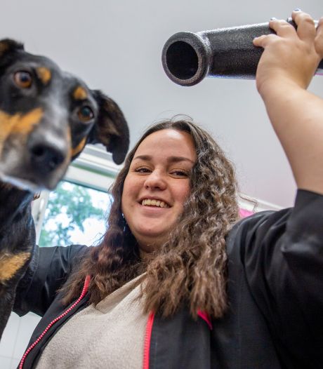 Caitlin wast, blaast en trimt honden om vachtproblemen te voorkomen