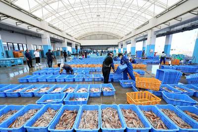 Opgedoken beelden van ‘duizenden dode vissen in Japan’ niet gelinkt aan lozing afvalwater Fukushima