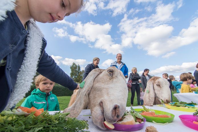 Kinderboerderij Houten failliet ‘Er is nog nét genoeg geld voor een