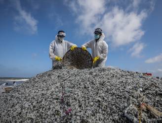 Sri Lanka eist 40 miljoen dollar schadevergoeding voor uitgebrand vrachtschip, al 1.200 ton aan plastic korrels en ander afval verzameld