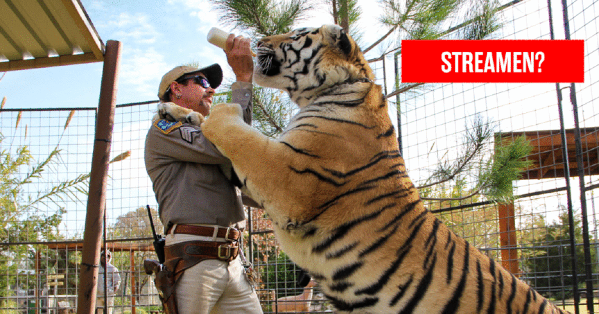 REVIEW. 'Tiger King 2' “Wilder and more marginal, but the fun is gone