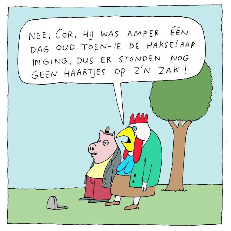 null Beeld Gummbah
