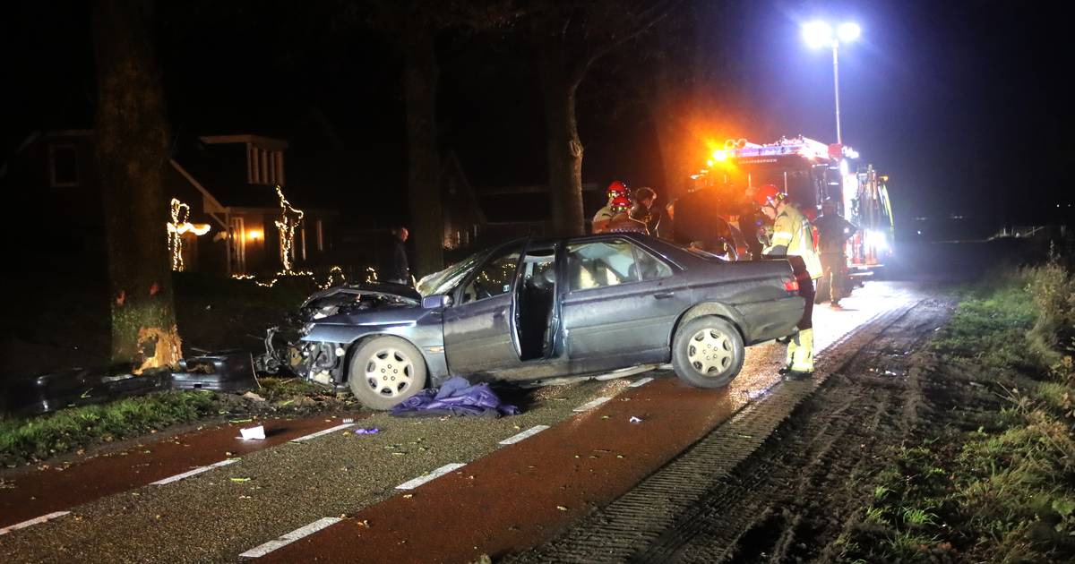 Automobilist naar ziekenhuis na botsing tegen boom in De Haandrik.