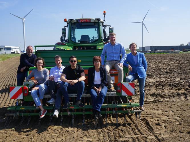 Hennepplantage van twee hectare in Lokers industriegebied: makkelijk, duurzaam en snel, maar wel érg gelijkend op cannabis
