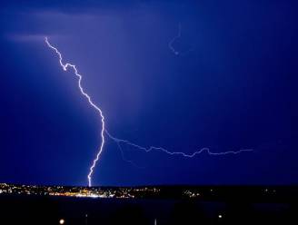 Heldhaftige hond redt meisjes na blikseminslag