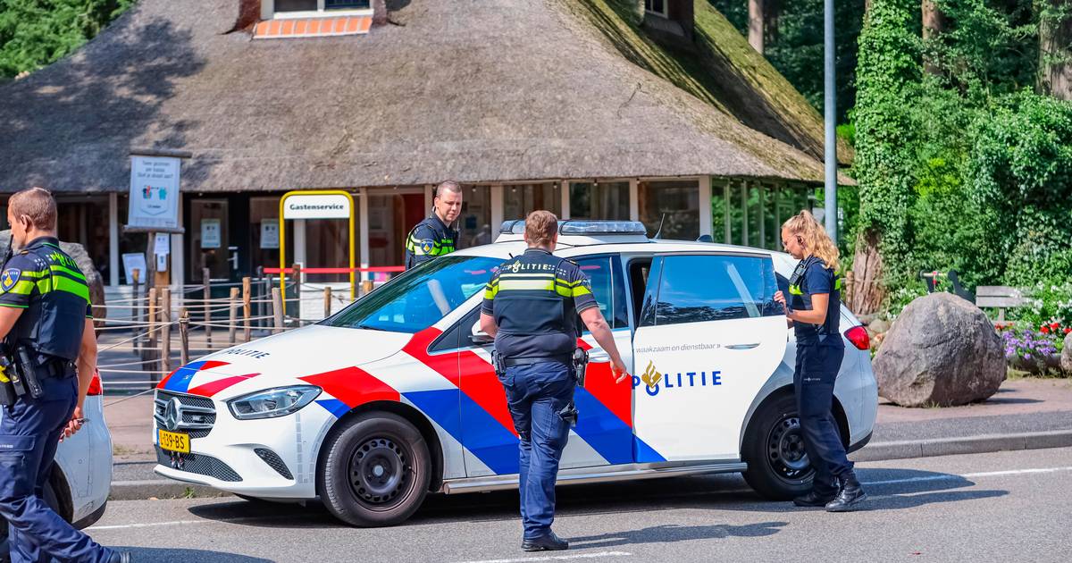 Dierentuin: 'Wolven groeven uit angst gat onder hek en konden zo ontsnappen' - AD