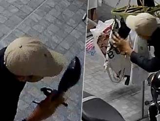 Viespeuk dringt binnen om aan ondergoed en schoenen te snuiven