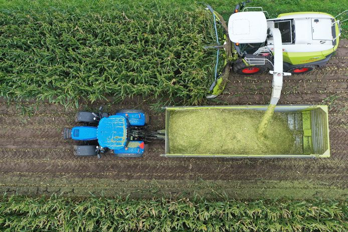 De maisoogst is in volle gang, maar boeren kunnen de brug bij Grave niet over.