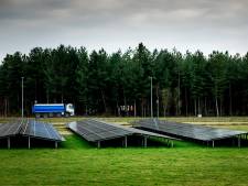 Weilanden vol met zonnepanelen, dat zien veel boeren niet zitten: ‘Gooi eerst de daken maar vol’
