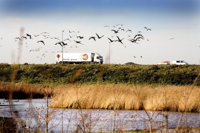 De mogelijkheid om Zevenbergen op de A16 aan te sluiten ter hoogte van knooppunt Zonzeel kan een kansrijk scenario zijn.