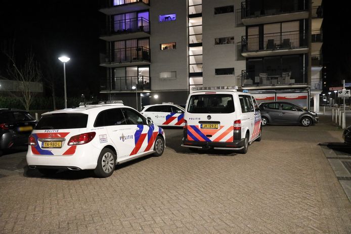 Meerdere eenheden van de politie zijn zaterdagavond in Roosendaal naar een Poolse supermarkt gereden voor de melding van een overval. Aan de Lindenburg bleek het te gaan om een vechtpartij.