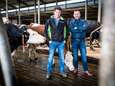 Boze Alphense boeren willen Schiphol blokkeren: ‘Geen scrupules, wij worden óók genaaid’