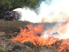 Natuurbrand verwoest ruim 7 hectare Ginkelse Heide