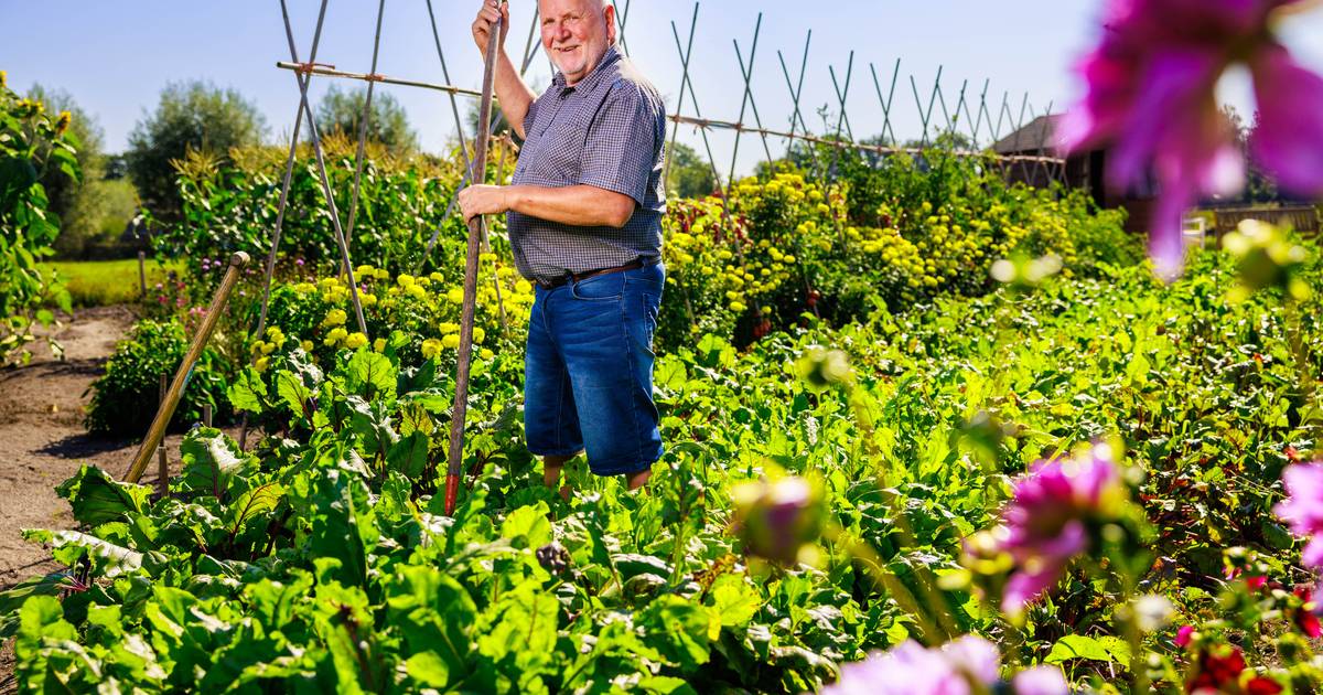 Ongedierte? Dat halen ze er in de dorpstuin van Haghorst met de hand uit