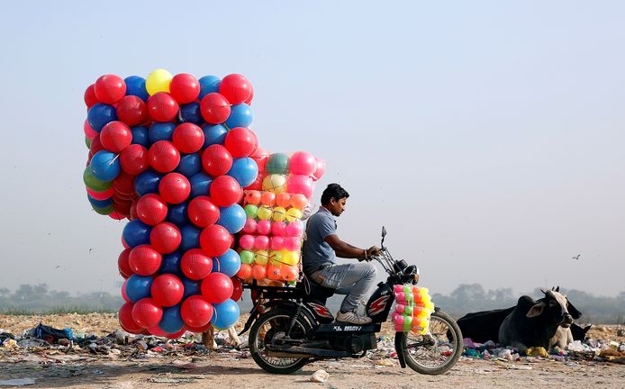 Een man vervoert gekleurde plastic ballen van kinderen op zijn motorfiets in Delhi, India. Foto Cathal McNaughton